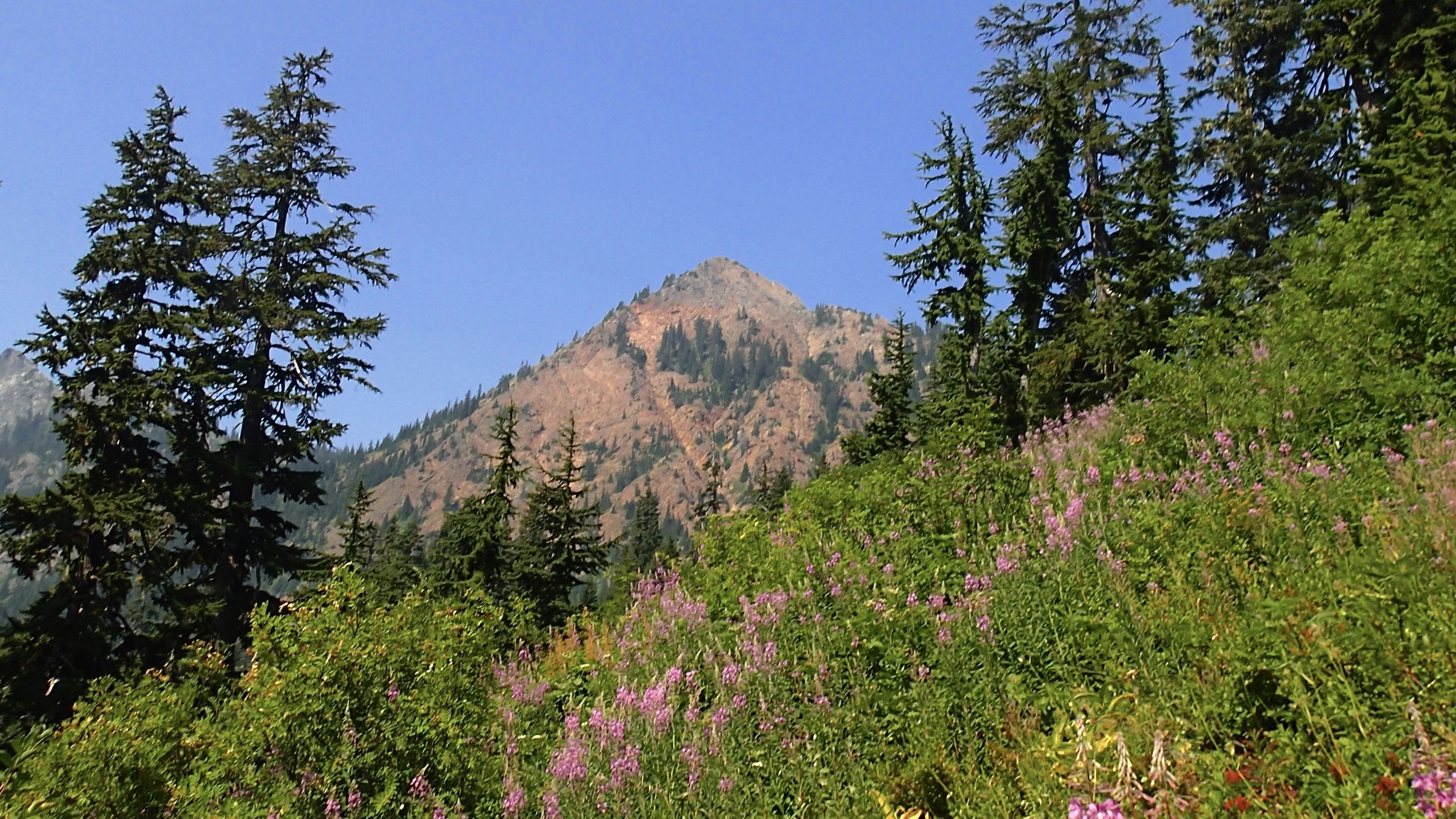 pct section j